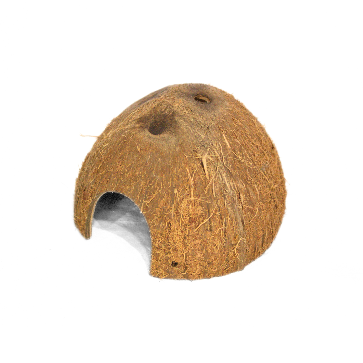 Kokosnöten