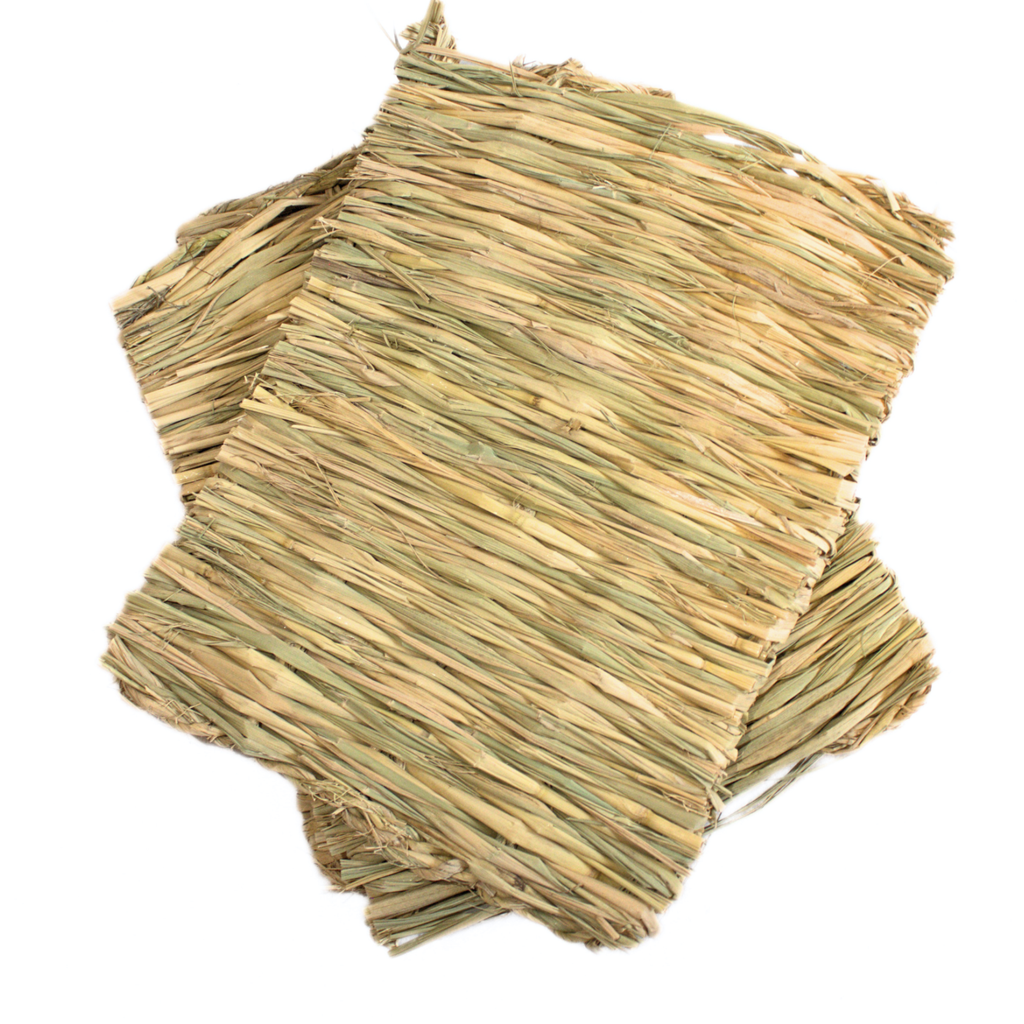 Grass Nibble 'N' Nap mat (2 st)