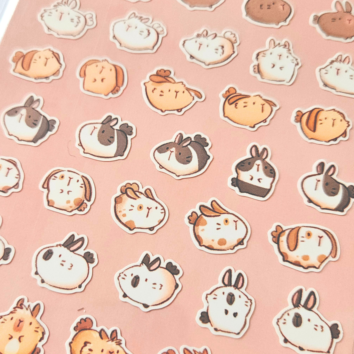 Chubby Bunnies