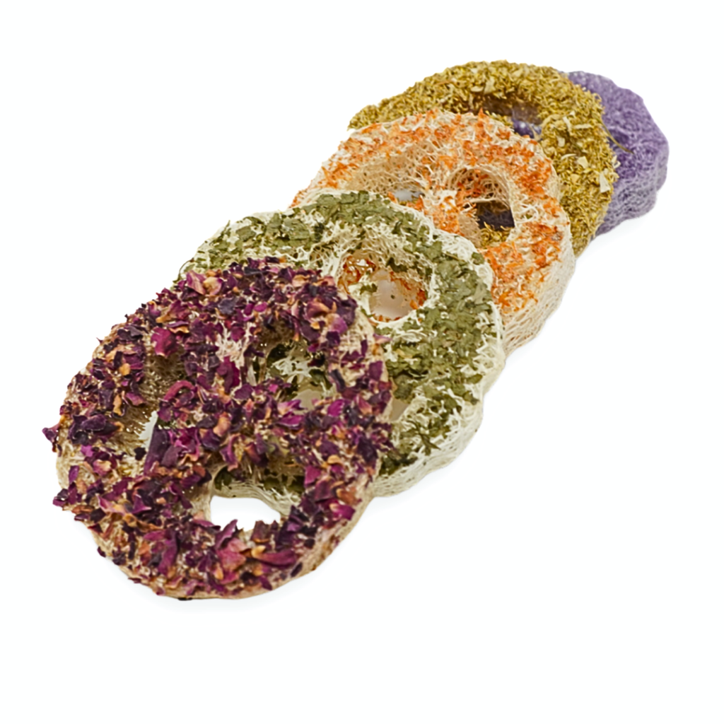 Loofah Variety Pack (5 pack)