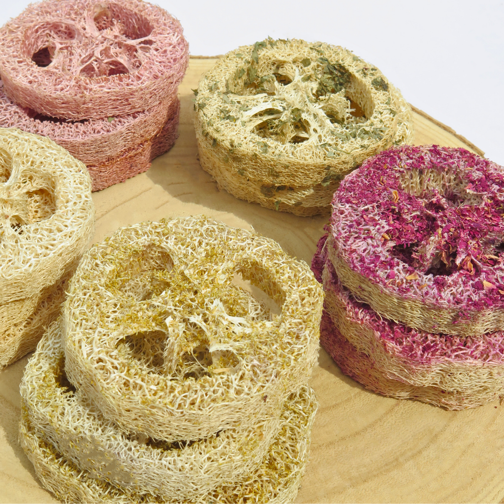 Loofah Variety Pack (5 pack)