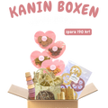 Kanin Boxen