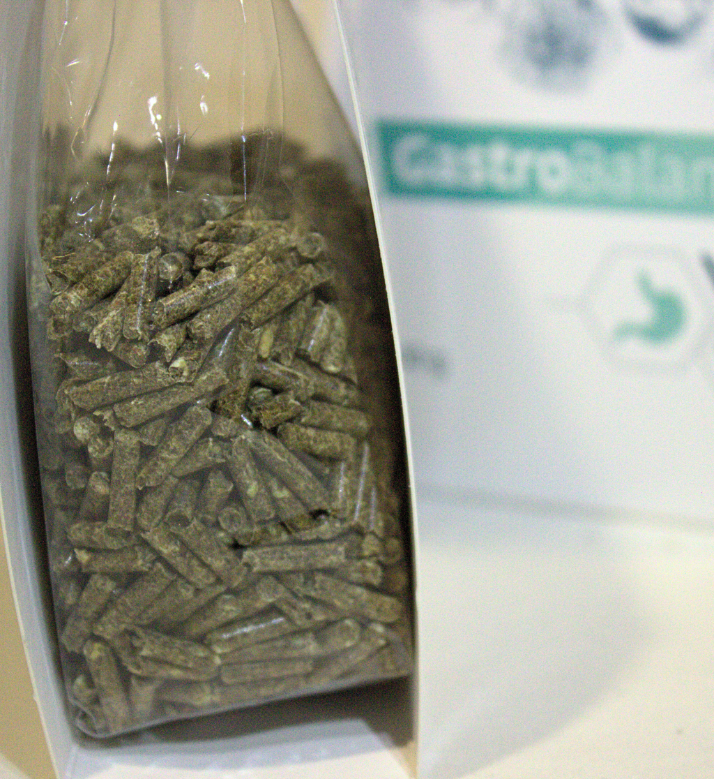 GastroBalance