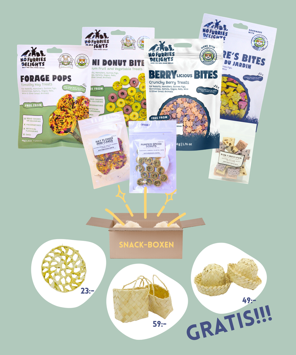 SNACK-BOXEN