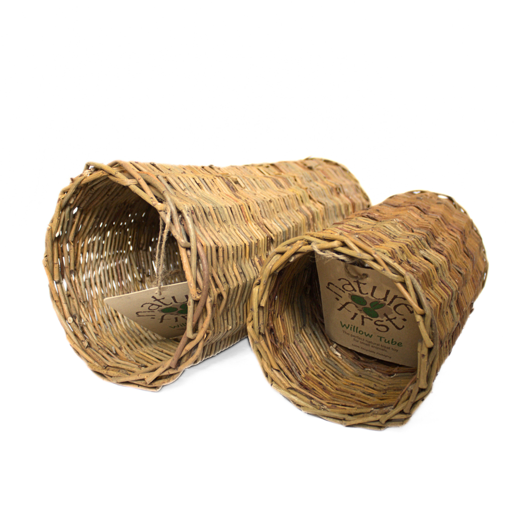 Piltunneln